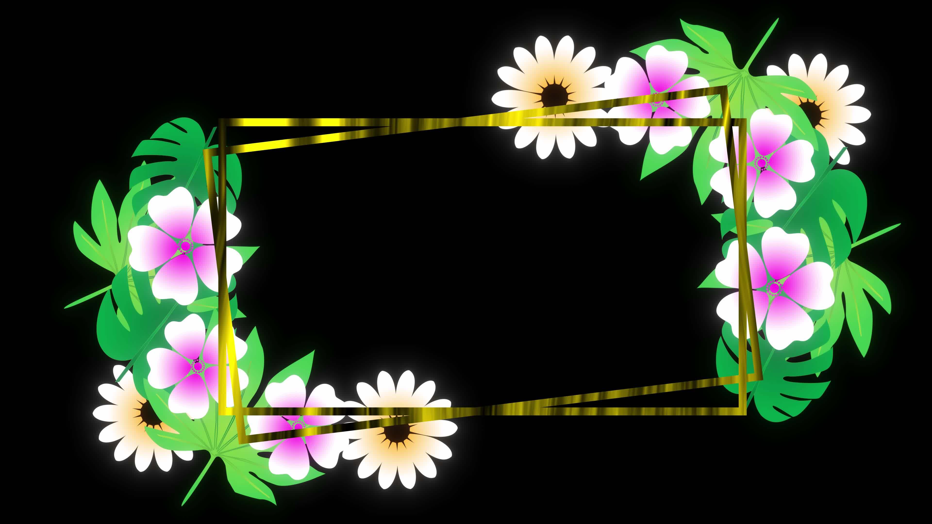 Flower Frame Animation Video. Photo Frame,picture Frame With Decorative