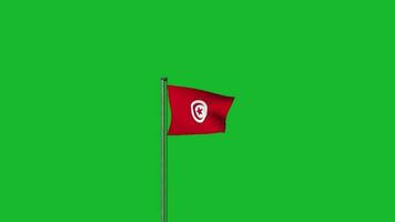 Tunisia flag waving on pole animation on green screen background video