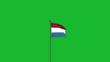 Países Baixos bandeira acenando em pólo animação em verde tela fundo video