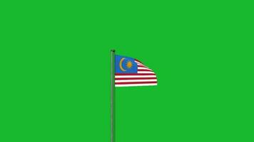 Malaysia flag waving on pole animation on green screen background video