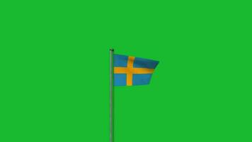 Sverige flagga vinka på Pol animering på grön skärm bakgrund video
