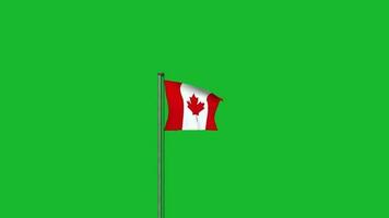 Canada flag waving on pole animation on green screen background video