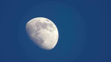 moitié lune magnifique vue à soir, mai 2020 video