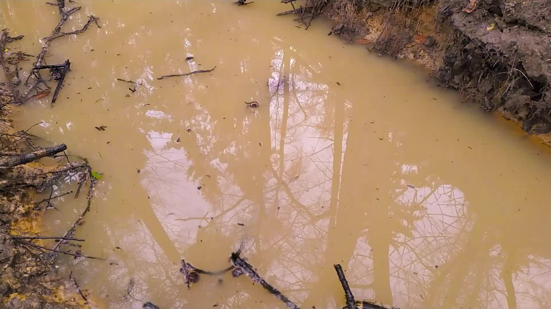 Splashing water in a puddle in slow motion on a rainy day in a forest