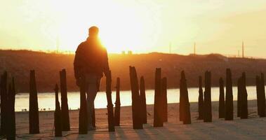 homem passagem de a madeiras às a costa do Vieira de praia dentro Portugal em uma pôr do sol com bebê gaivotas dentro a fundo - tiro médio video