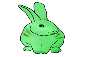 icono conejito Conejo png