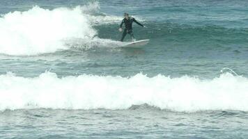 surfeurs équitation vagues dans le océan de fuertventura video