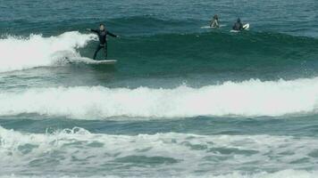 Surfer Reiten Wellen im das Ozean aus fuertventura video