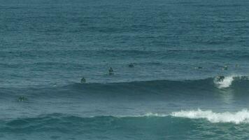 surfers riding waves in the ocean off fuertventura video