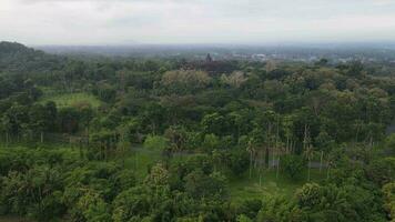 4k Antenne Aussicht von Borobudur Tempel im Java, Indonesien. breit schießen mit Wald Sicht. video