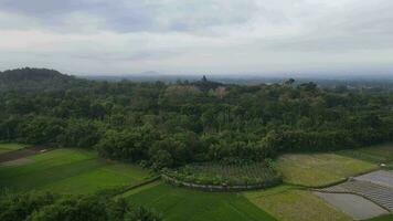 4k aéreo ver de borobudur templo en Java, Indonesia. amplio disparar con bosque vista. video