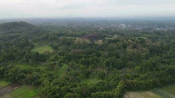 4k aérien vue de borobudur temple dans Java, Indonésie. large tirer avec forêt voir. video