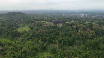 4k Antenne Aussicht von Borobudur Tempel im Java, Indonesien. breit schießen mit Wald Sicht. video