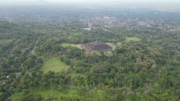 4k Antenne Aussicht von Borobudur Tempel im Java, Indonesien. breit schießen mit Wald Sicht. video