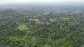 4k aéreo ver de borobudur templo en Java, Indonesia. amplio disparar con bosque vista. video