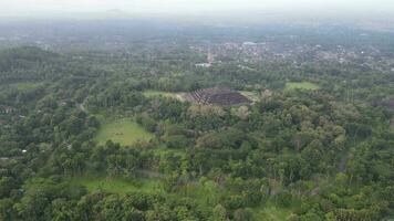 4k antenne visie van borobudur tempel in Java, Indonesië. breed schieten met Woud visie. video