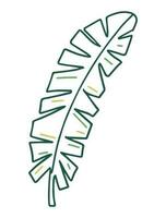 Tropical Leaves in doodle style. Vector hand drawn black line design element.
