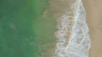 aéreo parte superior ver zumbido 4k imágenes de koggala playa, olas y océano, sri lanka. video