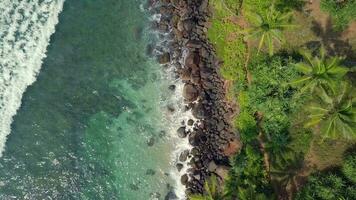 Antenne Aussicht Drohne 4k Aufnahmen von Kokosnuss Baum Hügel beim Mirissa, sri lanka. video