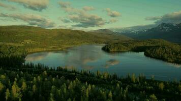 escénico río aéreo vista. vestland condado paisajista en el Noruega video