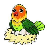 Cute fischer love bird cartoon with eggs in the nest vector