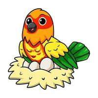 Cute yellow and green parrot lovebird cartoon with eggs in the nest vector