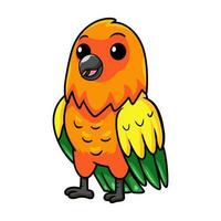 Cute sun conure parrot cartoon vector