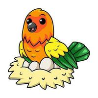 Cute sun conure parrot cartoon with eggs in the nest vector