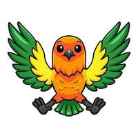 Cute sun conure parrot cartoon flying vector