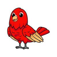 Cute red suffusion lovebird cartoon vector