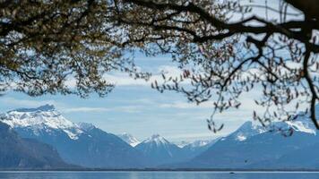 montaña y agua antecedentes vista. lago Ginebra vey, suiza foto