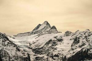 First mountain in Grindelwald with Alpine views Switzerland. photo