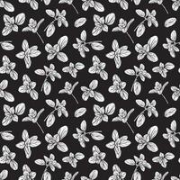 seamless pattern with basil leaves vector