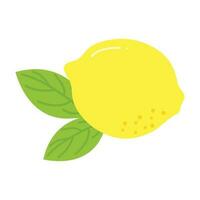 Fresh Lemon Illustration Isolated In White Background. Lemon Slice Cartoon Illustration. vector