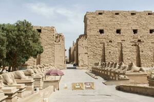 Luxor  Egypt  March 23, 2023 The Temple of Karnak. Ancient temple complex located in Luxor. Egypt photo