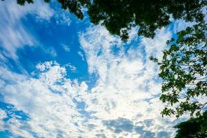 nubes y azul soleado cielo, blanco nubes terminado azul cielo, aéreo vista, naturaleza azul cielo blanco listón clima. foto