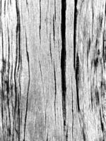 Vertical image, detail, old, decayed wood surface,  soft focus. photo