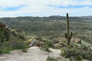 Hiking up the Trail on Picketpost Mountain Arizona photo