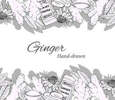 Hand-drawn background of the ginger set, flower, ginger root, ginger powder, and sliced ginger. Isolated vector illustration