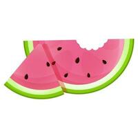 A slice of juicy ripe watermelon with a bite and a triangular piece vector