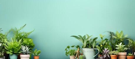 A group of potted plants sitting on top of a table created with Generative AI technology photo