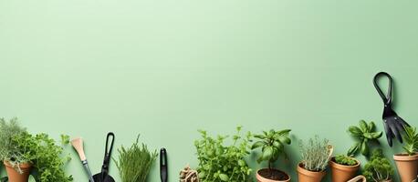 A row of potted plants with gardening utensils created with Generative AI technology photo