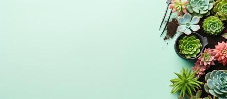 A group of succulents on a blue background created with technology photo