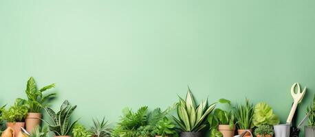 A row of potted plants against a green wall created with technology photo