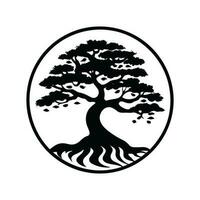 roble árbol logo icono ilustración marca identidad vector