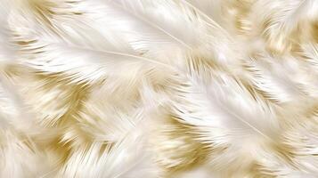 Close up gold and white feathers background, AI Generated photo