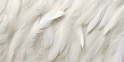 Close up white feathers luxury background, AI Generated photo