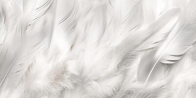 Close up white feathers luxury background, AI Generated photo