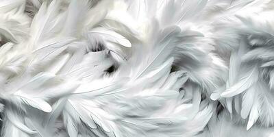 Close up white feathers luxury background, AI Generated photo