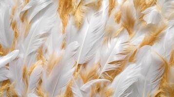 Close up gold and white feathers background, AI Generated photo